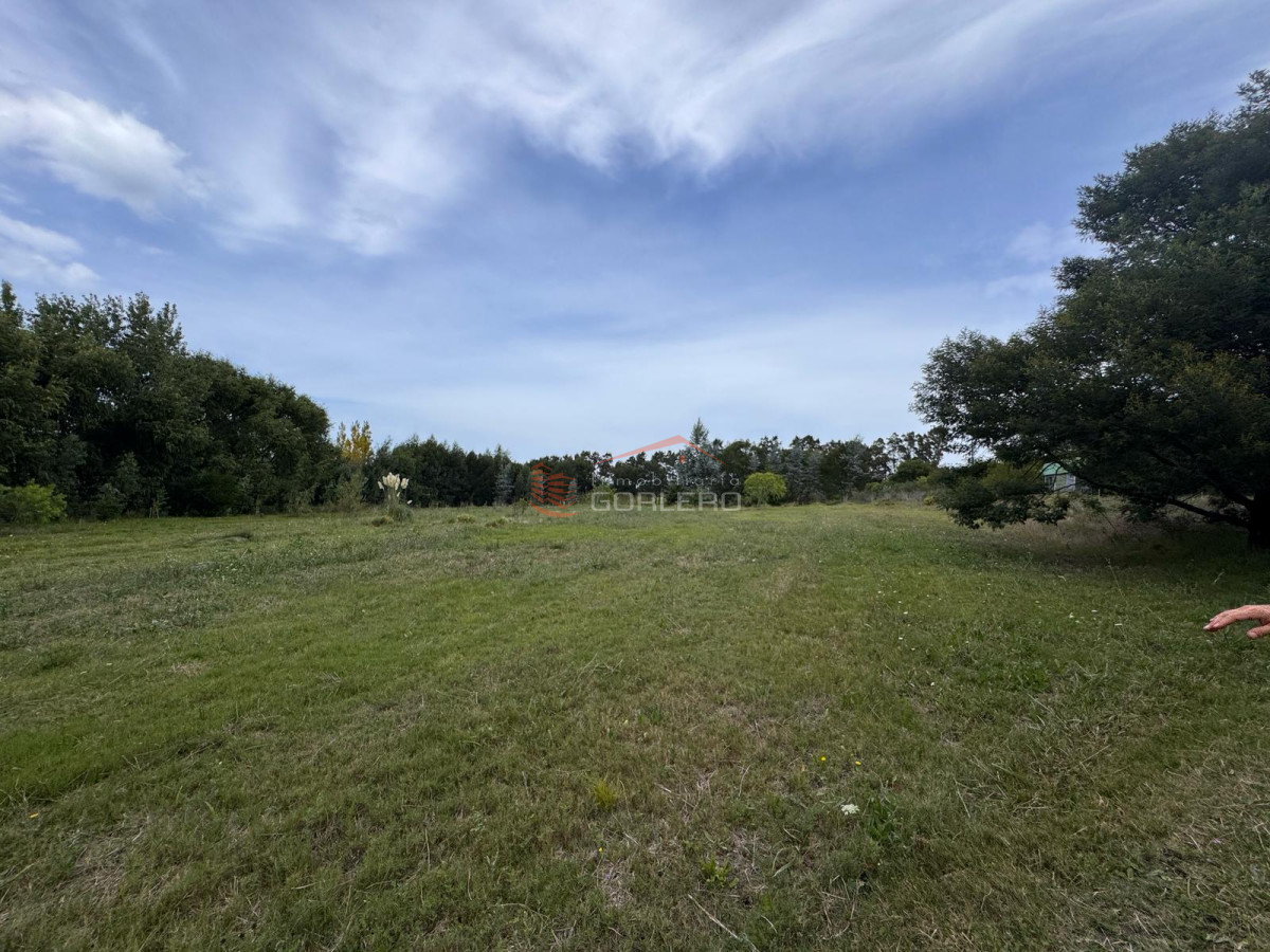 Laguna de los Cisnes - GoPunta - Portal Inmobiliario de Punta del Este - Maldonado