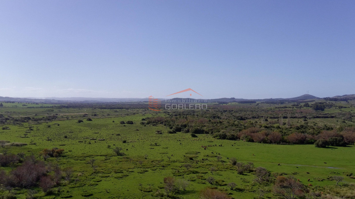 Maldonado - GoPunta - Portal Inmobiliario de Punta del Este - Maldonado