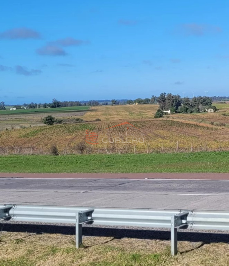 San José - GoPunta - Portal Inmobiliario de Punta del Este - Maldonado
