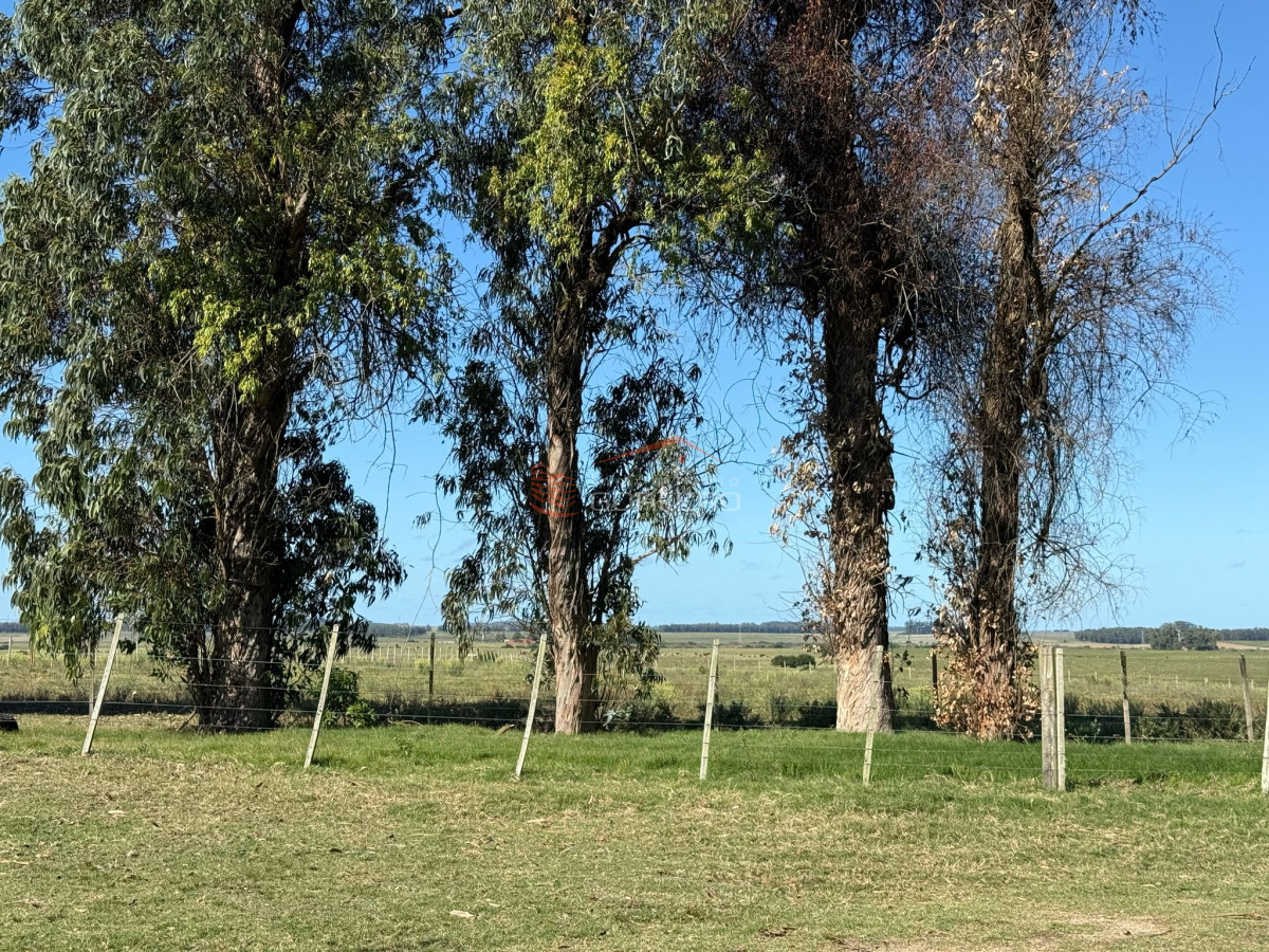 Garzon - GoPunta - Portal Inmobiliario de Punta del Este - Maldonado