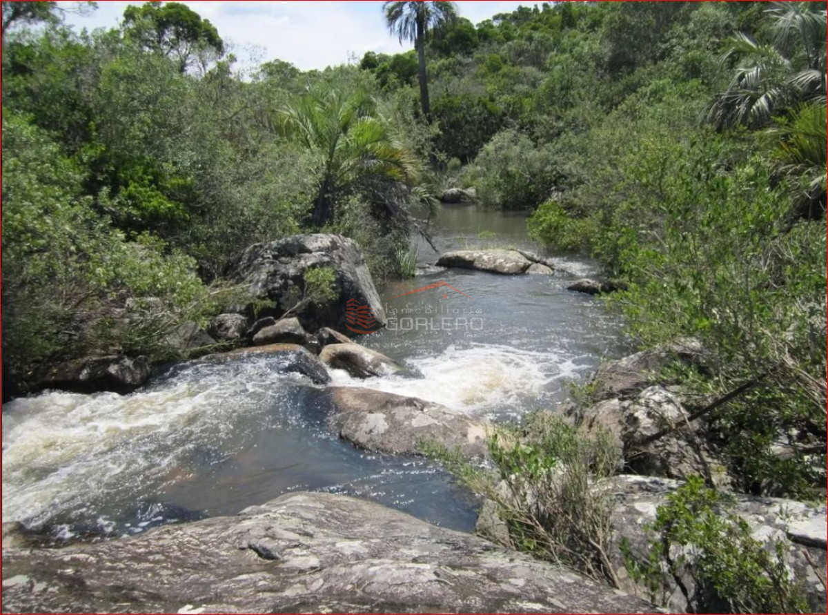 Las Cañas - GoPunta - Portal Inmobiliario de Punta del Este - Maldonado