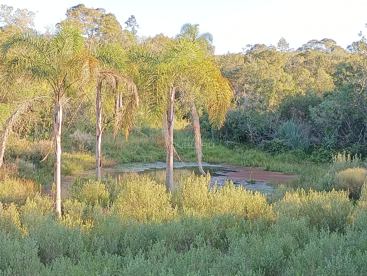 Chacra de 7 has hermosa fraccion a muy buen precio - GoPunta - Portal Inmobiliario de Punta del Este - Maldonado