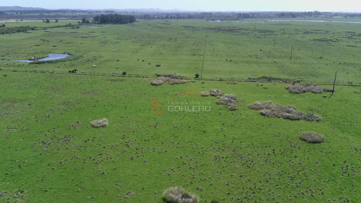 Ruta 39 - GoPunta - Portal Inmobiliario de Punta del Este - Maldonado