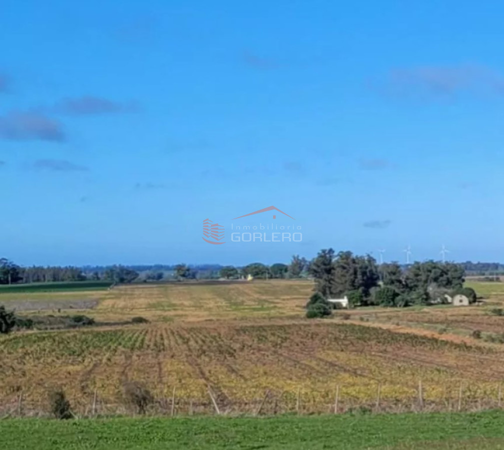 San José - GoPunta - Portal Inmobiliario de Punta del Este - Maldonado