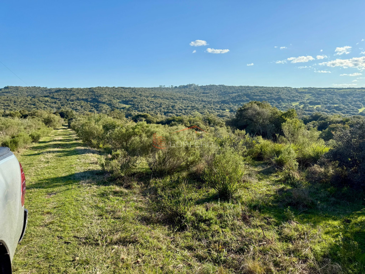 Zona Rural - GoPunta - Portal Inmobiliario de Punta del Este - Maldonado