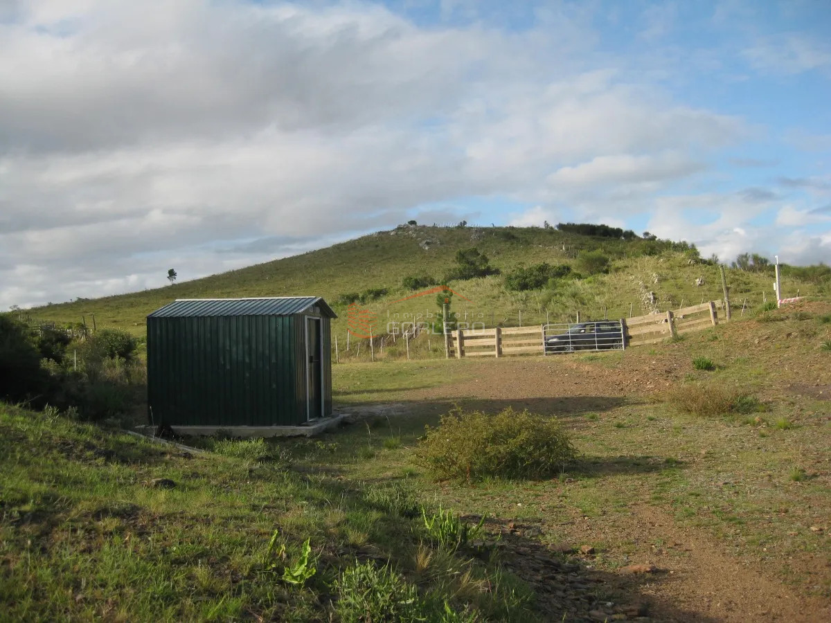 Zona Rural - GoPunta - Portal Inmobiliario de Punta del Este - Maldonado
