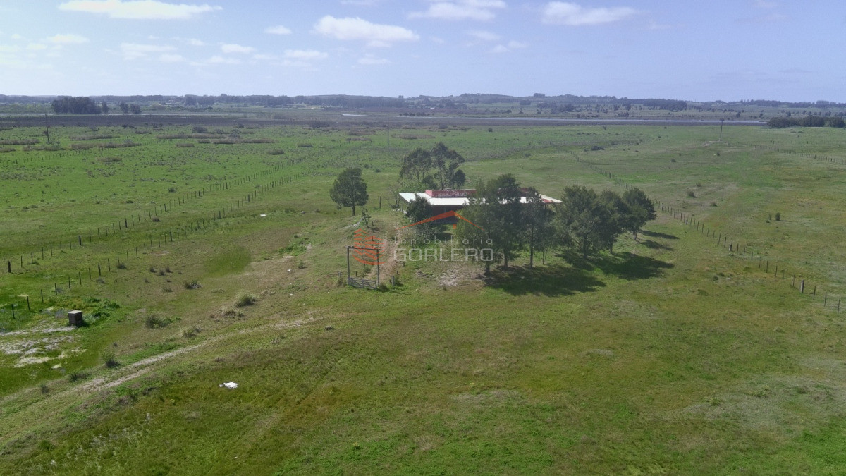 Ruta 39 - GoPunta - Portal Inmobiliario de Punta del Este - Maldonado