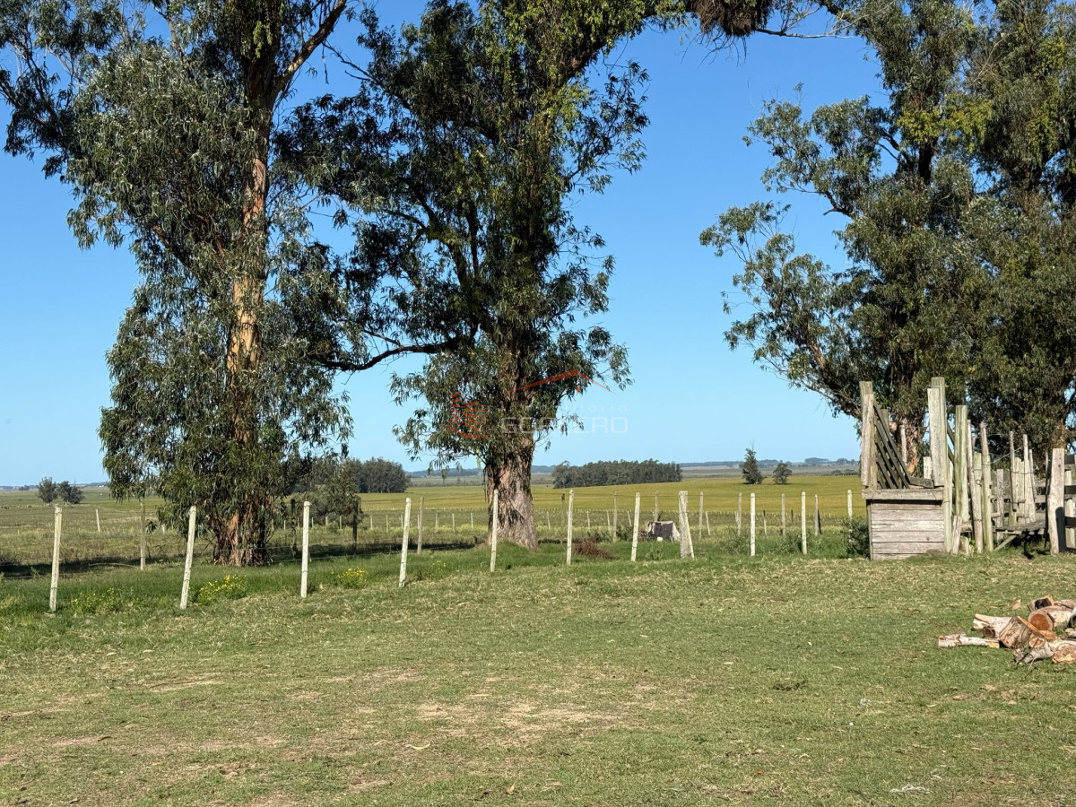 Garzon - GoPunta - Portal Inmobiliario de Punta del Este - Maldonado