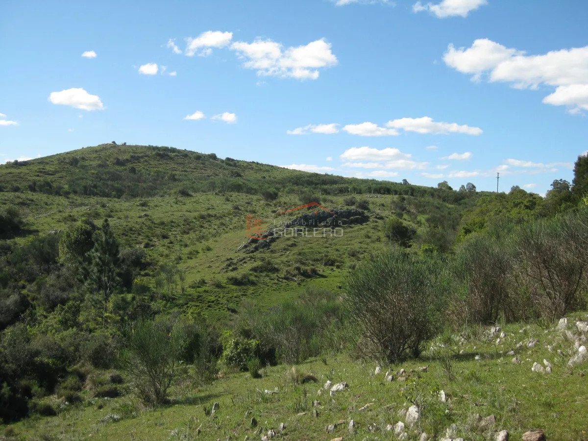 Zona Rural - GoPunta - Portal Inmobiliario de Punta del Este - Maldonado