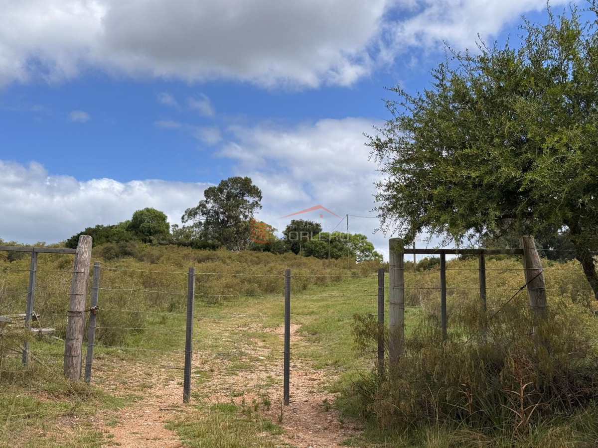 Lavalleja, 23 hás con cañada y tapera a poco de Minas - GoPunta - Portal Inmobiliario de Punta del Este - Maldonado