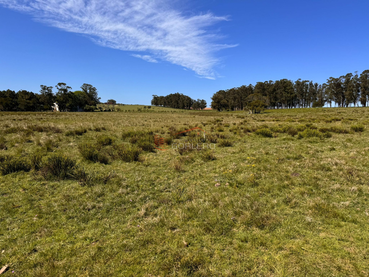 Las Garzas - GoPunta - Portal Inmobiliario de Punta del Este - Maldonado