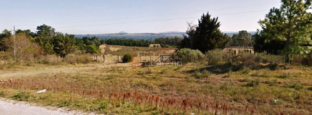Laguna del Sauce - GoPunta - Portal Inmobiliario de Punta del Este - Maldonado
