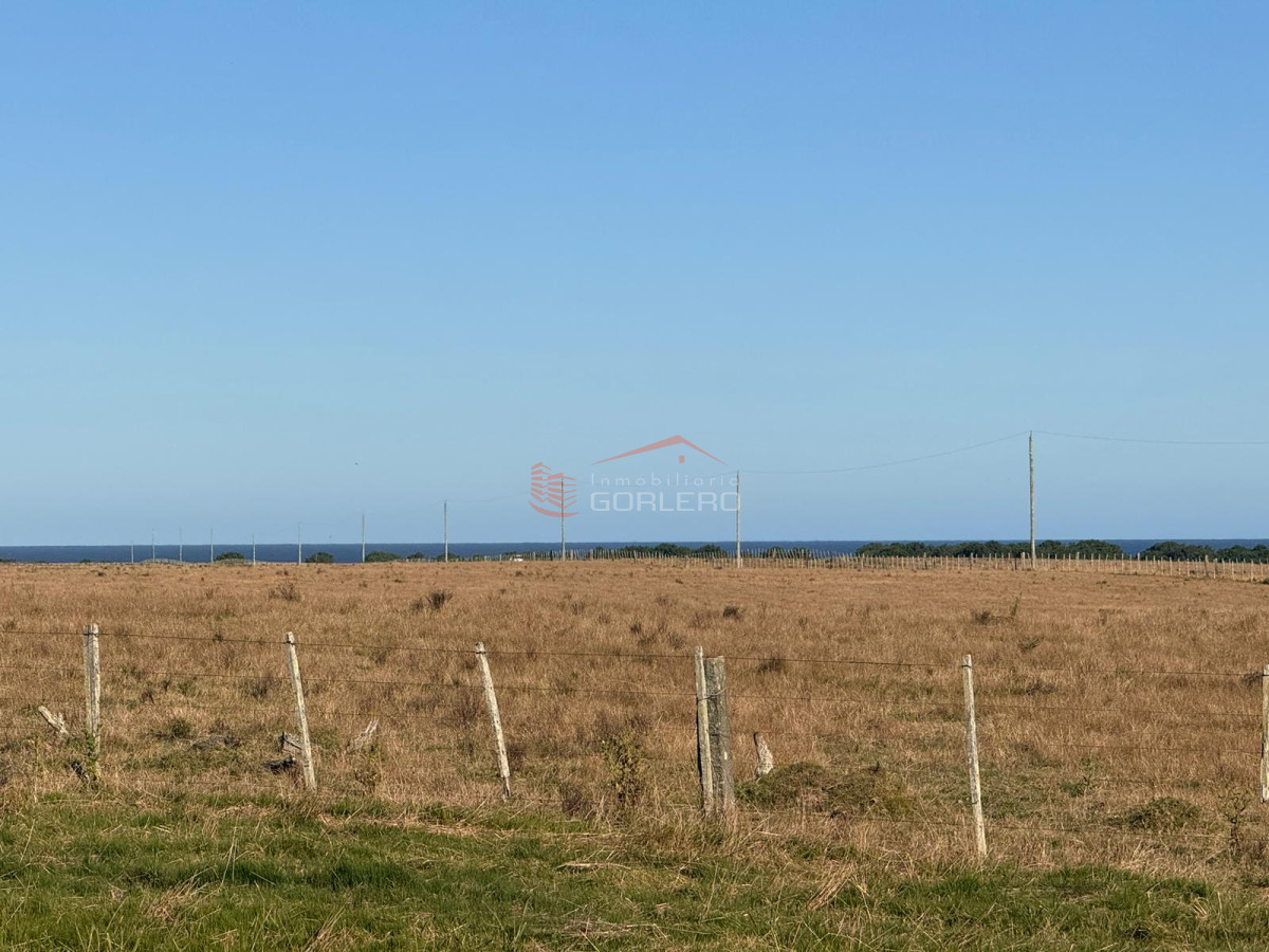 San Antonio - GoPunta - Portal Inmobiliario de Punta del Este - Maldonado