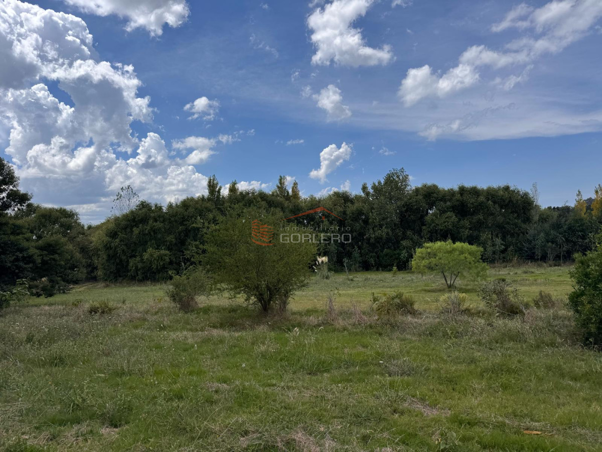 Laguna de los Cisnes - GoPunta - Portal Inmobiliario de Punta del Este - Maldonado