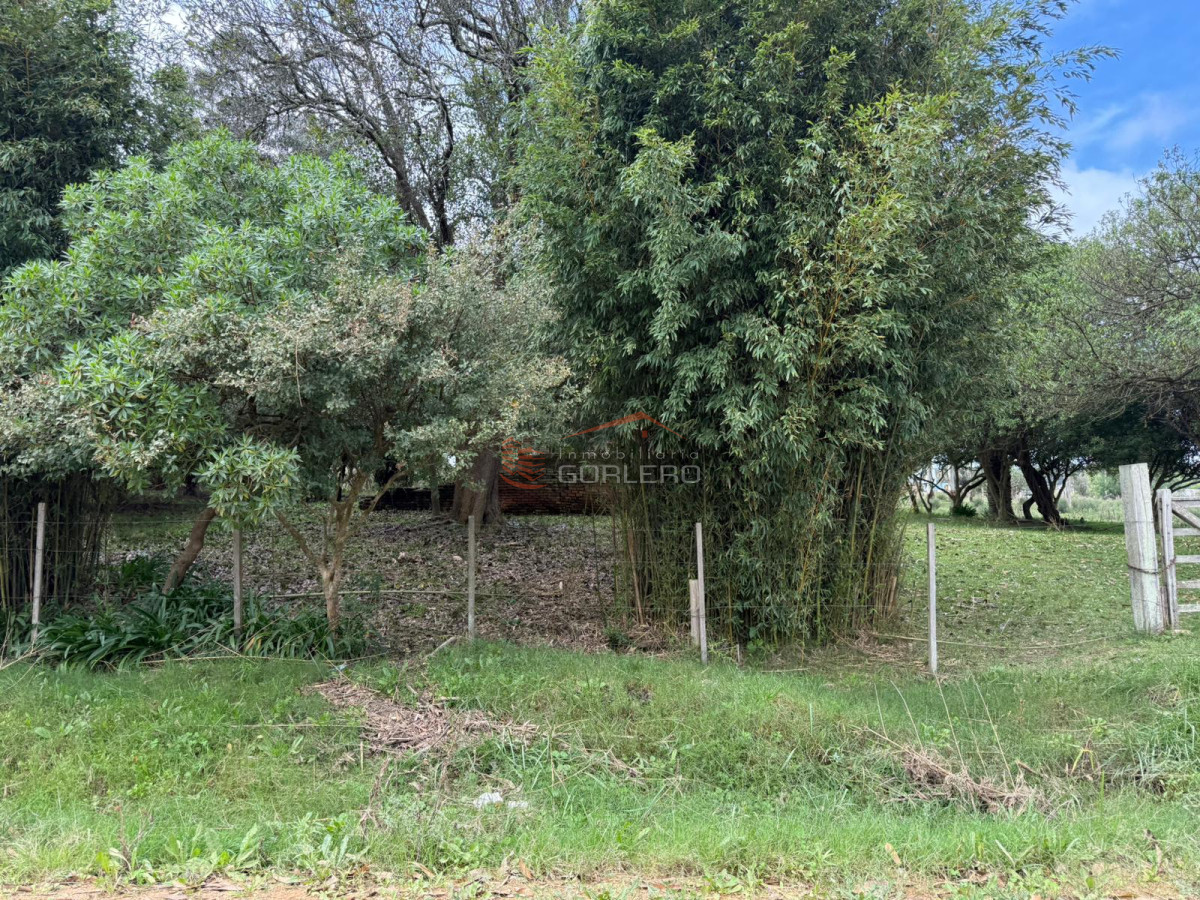 Rocha - GoPunta - Portal Inmobiliario de Punta del Este - Maldonado