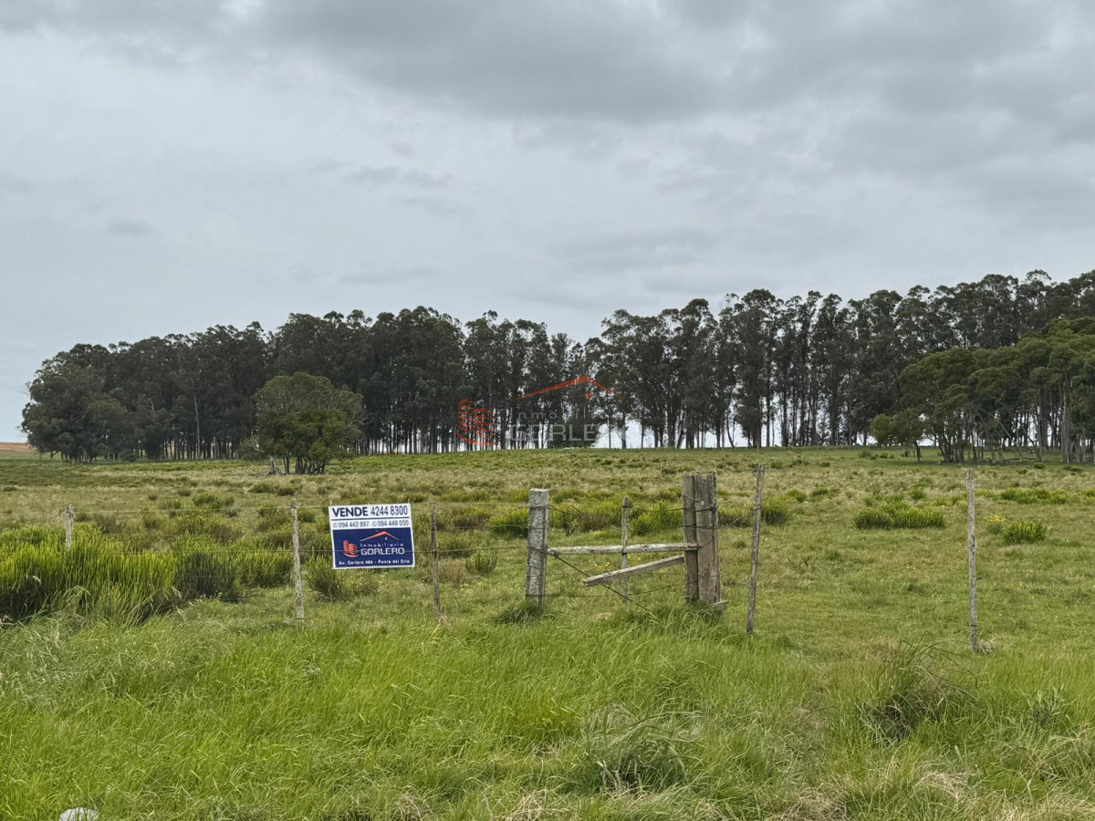 Las Garzas - GoPunta - Portal Inmobiliario de Punta del Este - Maldonado