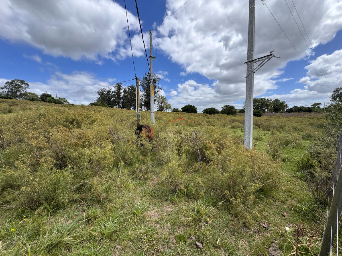Lavalleja, 23 hás con cañada y tapera a poco de Minas - GoPunta - Portal Inmobiliario de Punta del Este - Maldonado
