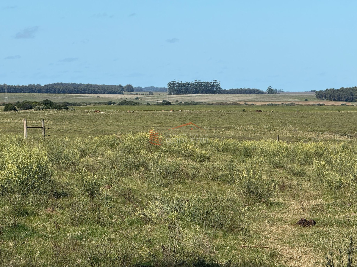 Garzon - GoPunta - Portal Inmobiliario de Punta del Este - Maldonado
