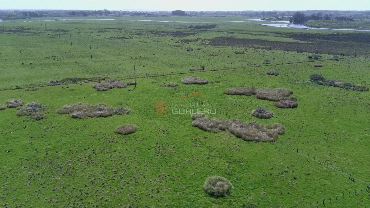 Ruta 39 - GoPunta - Portal Inmobiliario de Punta del Este - Maldonado