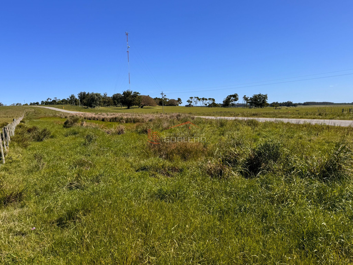 Las Garzas - GoPunta - Portal Inmobiliario de Punta del Este - Maldonado