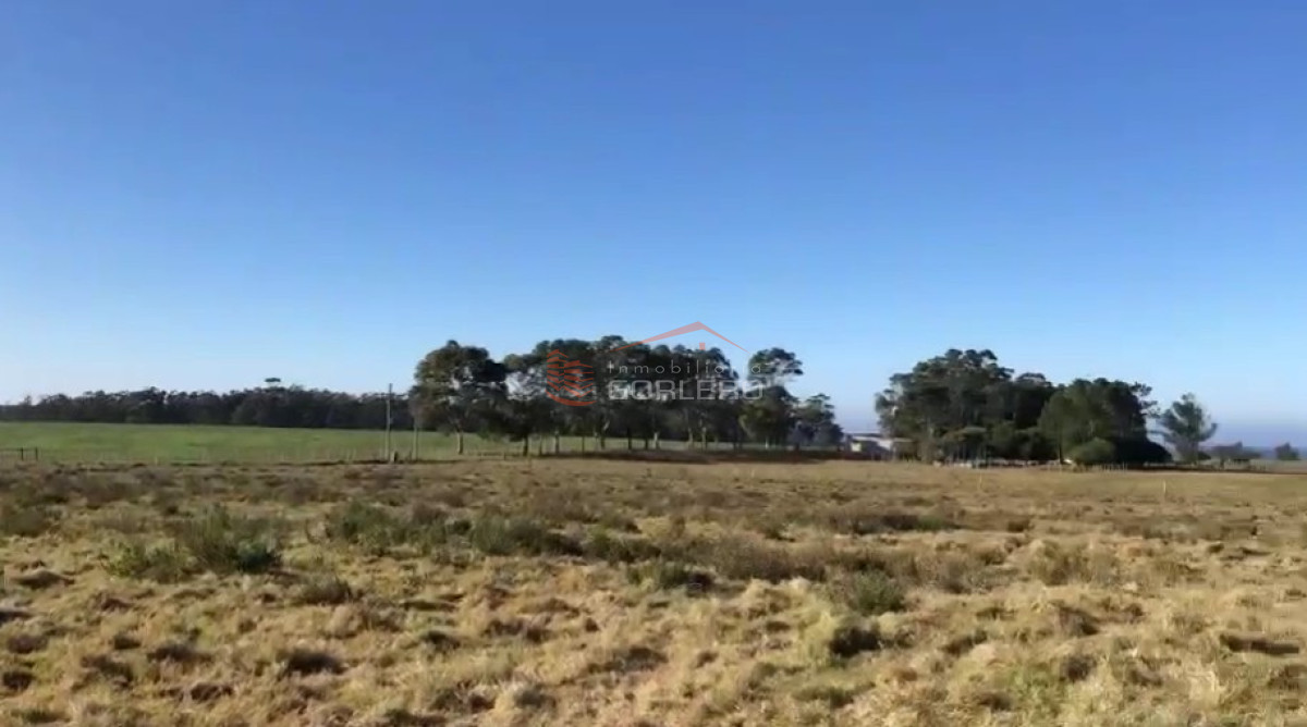 Costa Bonita - GoPunta - Portal Inmobiliario de Punta del Este - Maldonado