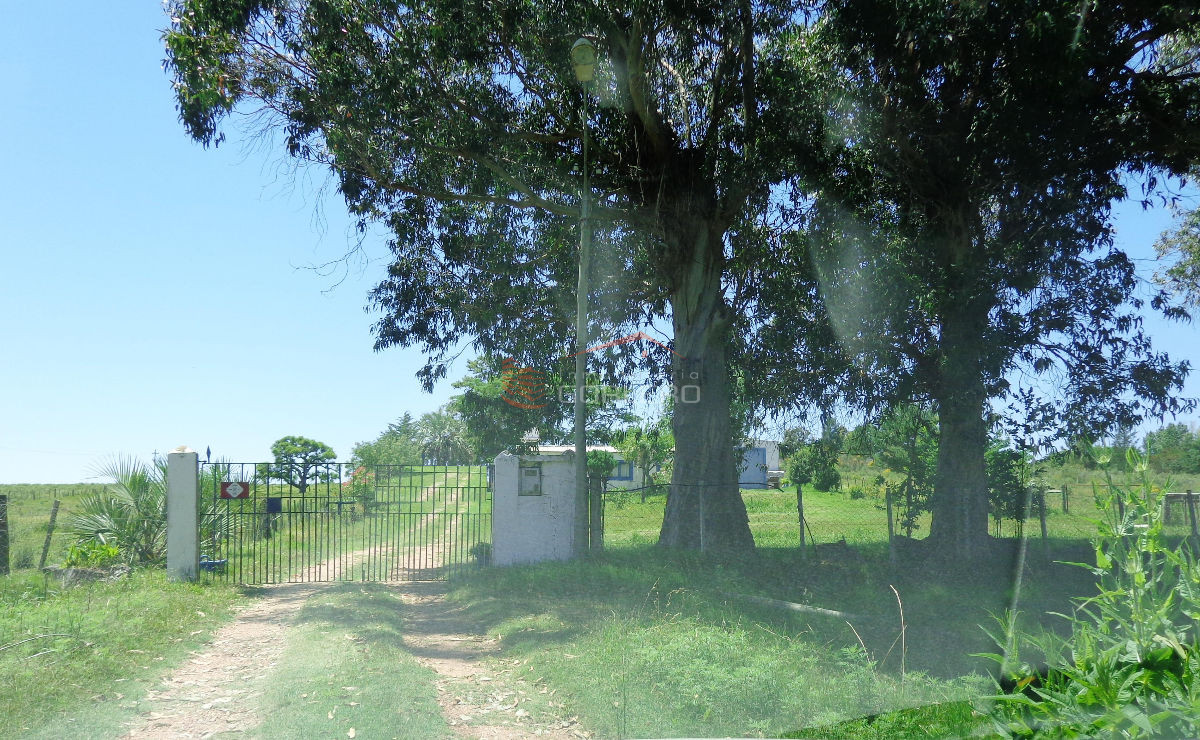 CHACRA EN LOS CEIBOS - GoPunta - Portal Inmobiliario de Punta del Este - Maldonado