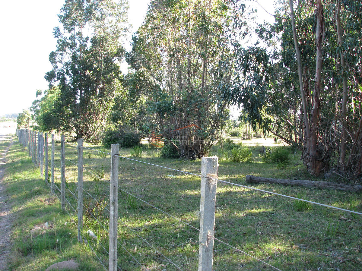 CHACRA EN VENTA EN SAN CARLOS - GoPunta - Portal Inmobiliario de Punta del Este - Maldonado