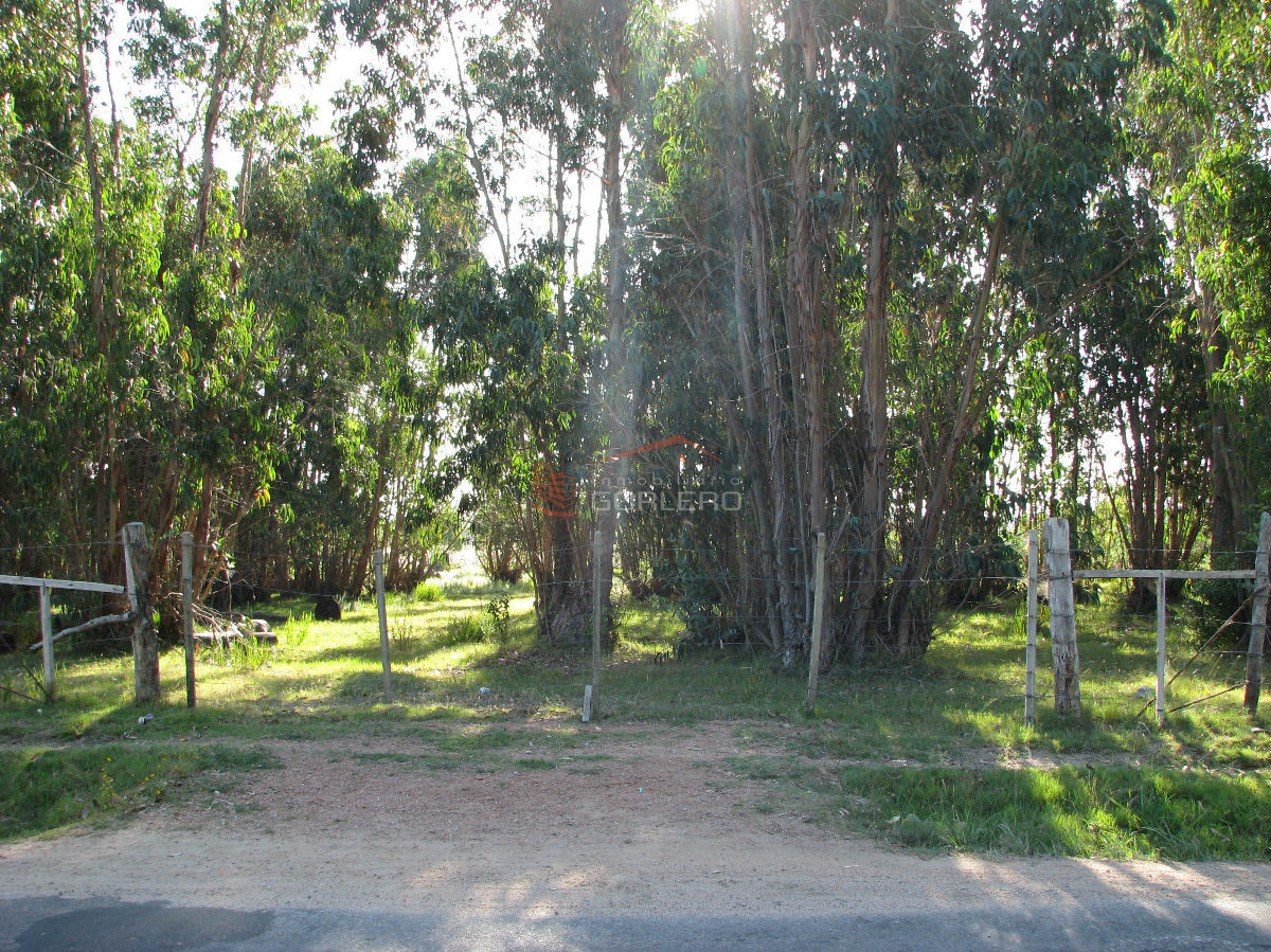 CHACRA EN VENTA EN SAN CARLOS - GoPunta - Portal Inmobiliario de Punta del Este - Maldonado