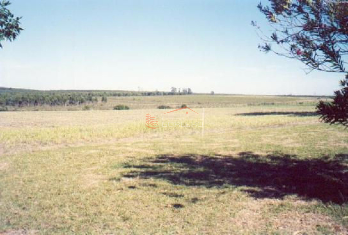 CHACRA EB VENTA EN RUTA INTERBALNEARIA   7 HAS - GoPunta - Portal Inmobiliario de Punta del Este - Maldonado