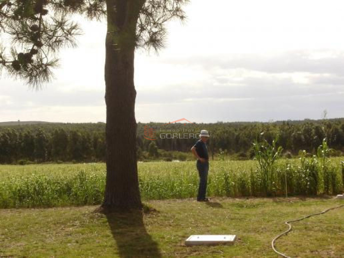 CHACRA EB VENTA EN RUTA INTERBALNEARIA   7 HAS - GoPunta - Portal Inmobiliario de Punta del Este - Maldonado