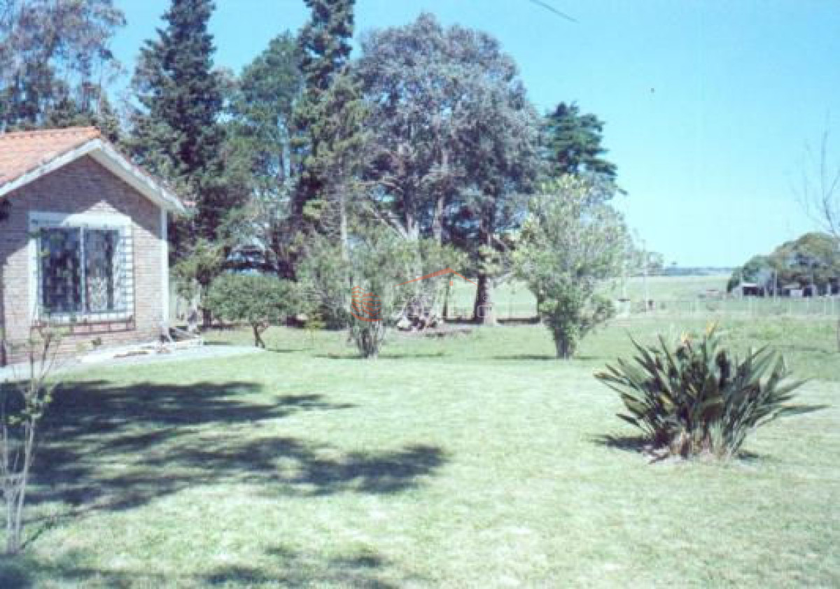 CHACRA EB VENTA EN RUTA INTERBALNEARIA   7 HAS - GoPunta - Portal Inmobiliario de Punta del Este - Maldonado