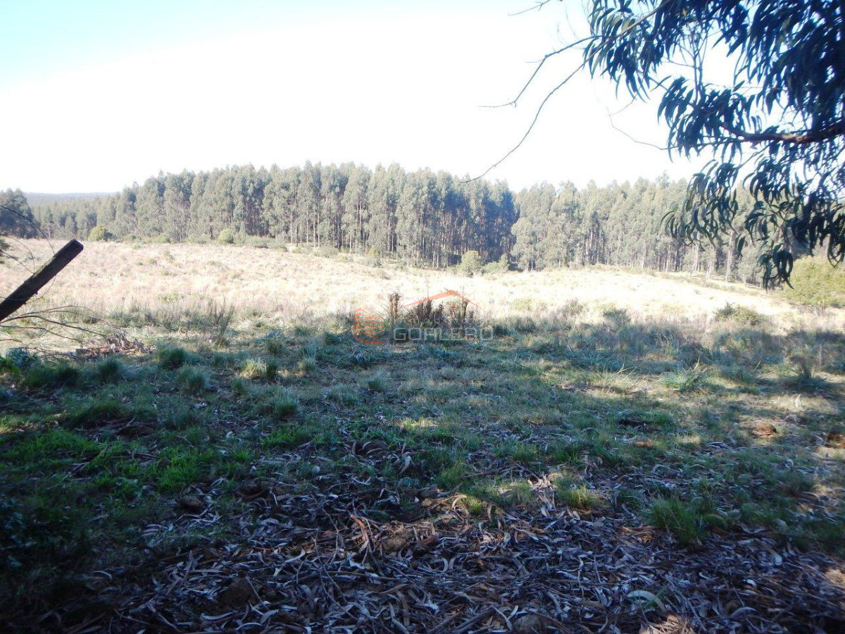 CHACRA EN GARZON DE 8 HAS - GoPunta - Portal Inmobiliario de Punta del Este - Maldonado