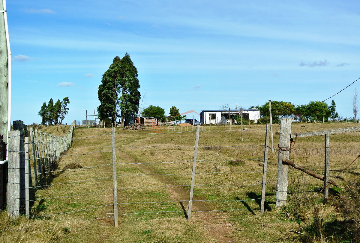 CHACRA DE 5 HAS - GoPunta - Portal Inmobiliario de Punta del Este - Maldonado