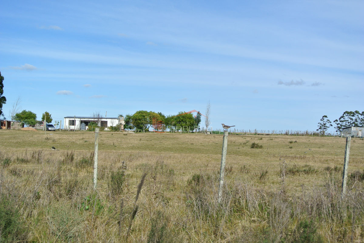 CHACRA DE 5 HAS - GoPunta - Portal Inmobiliario de Punta del Este - Maldonado
