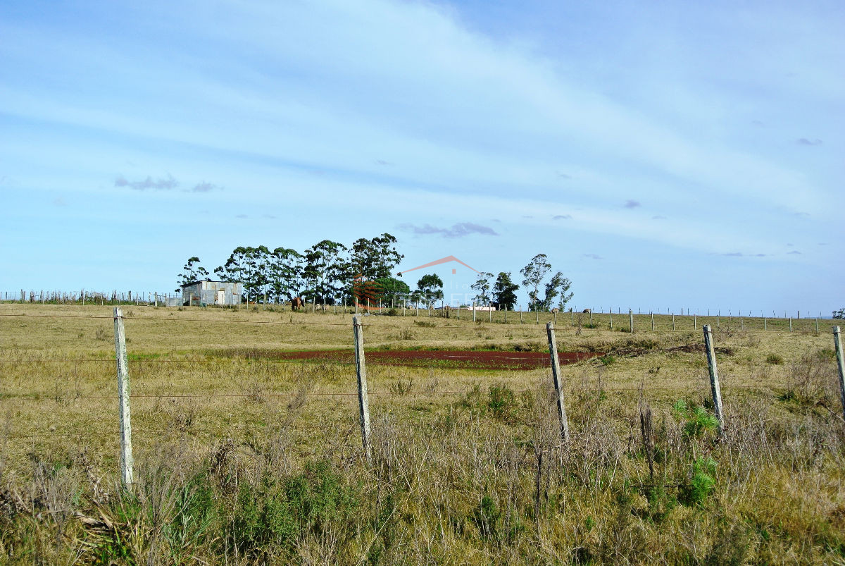 CHACRA DE 5 HAS - GoPunta - Portal Inmobiliario de Punta del Este - Maldonado