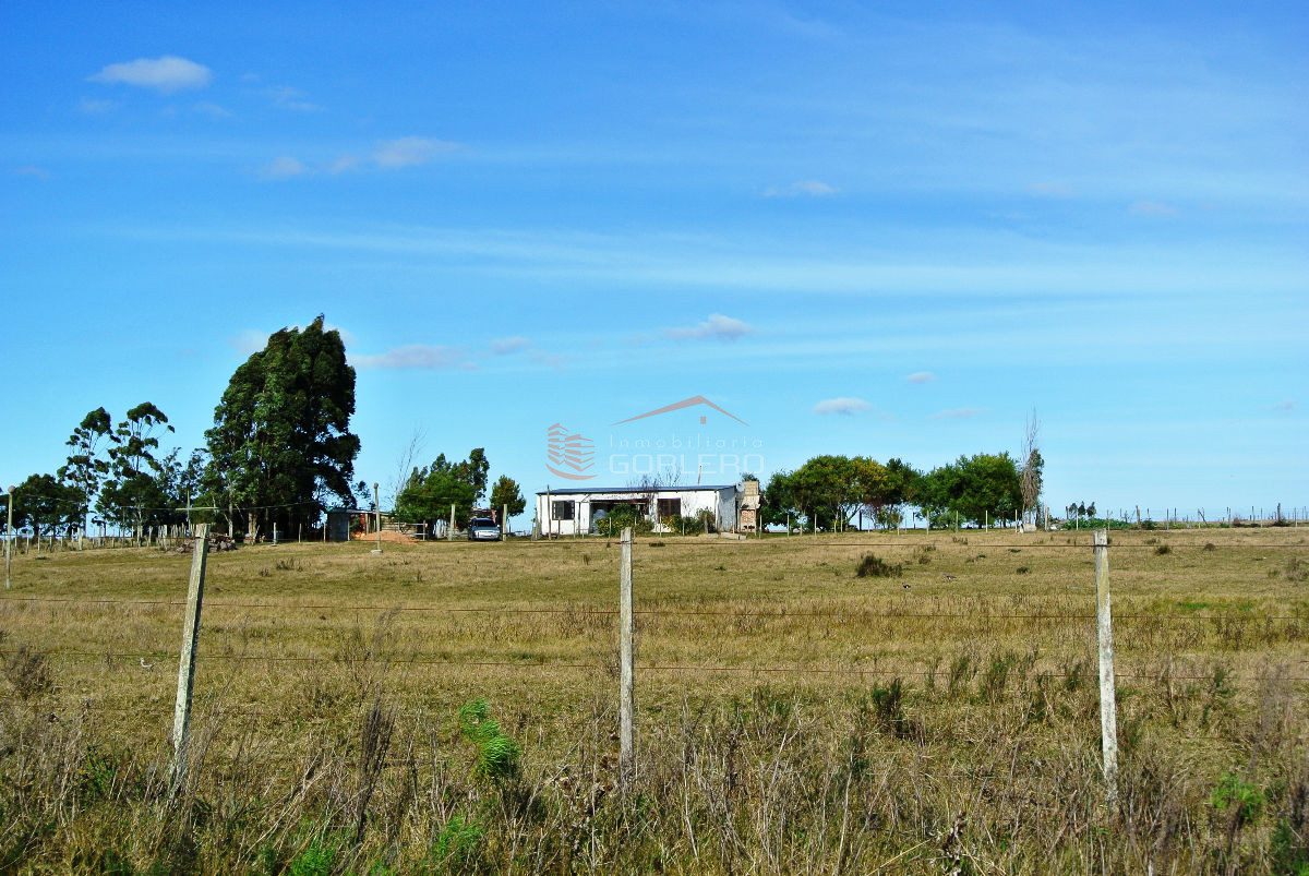 CHACRA DE 5 HAS - GoPunta - Portal Inmobiliario de Punta del Este - Maldonado