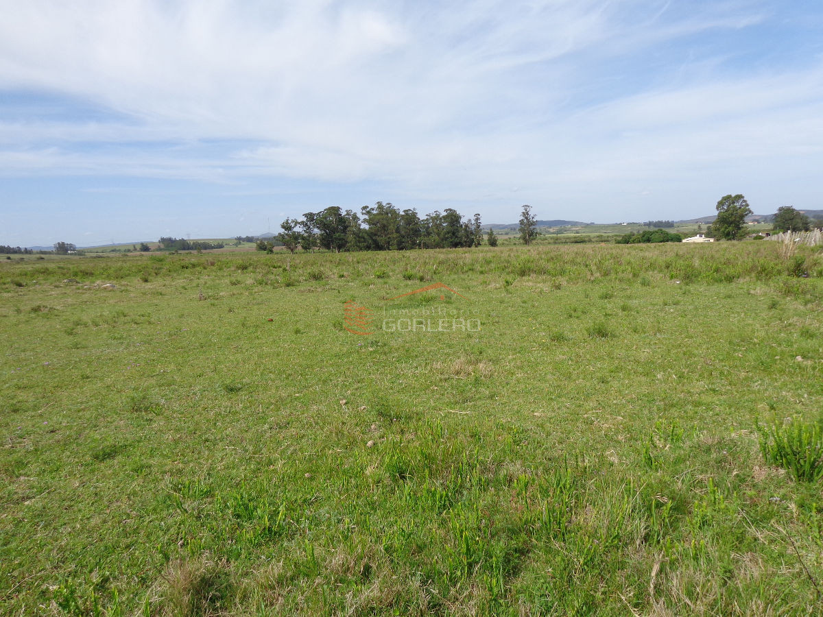 chacra en ruta 9 de 11 has - GoPunta - Portal Inmobiliario de Punta del Este - Maldonado