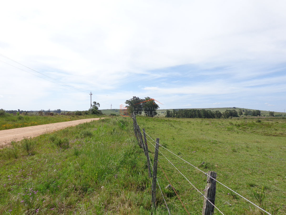 chacra en ruta 9 de 11 has - GoPunta - Portal Inmobiliario de Punta del Este - Maldonado