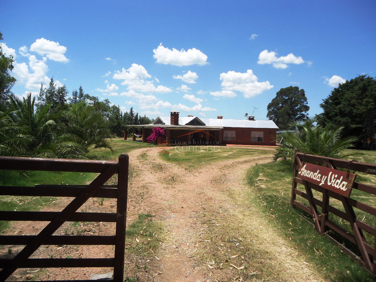 Chacra en Punta del Este - GoPunta - Portal Inmobiliario de Punta del Este - Maldonado