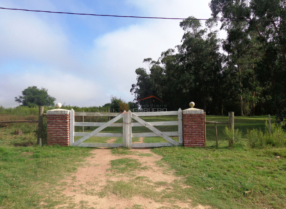 Chacra en  LOS CEIBOS Punta del Este 5 HAS - GoPunta - Portal Inmobiliario de Punta del Este - Maldonado