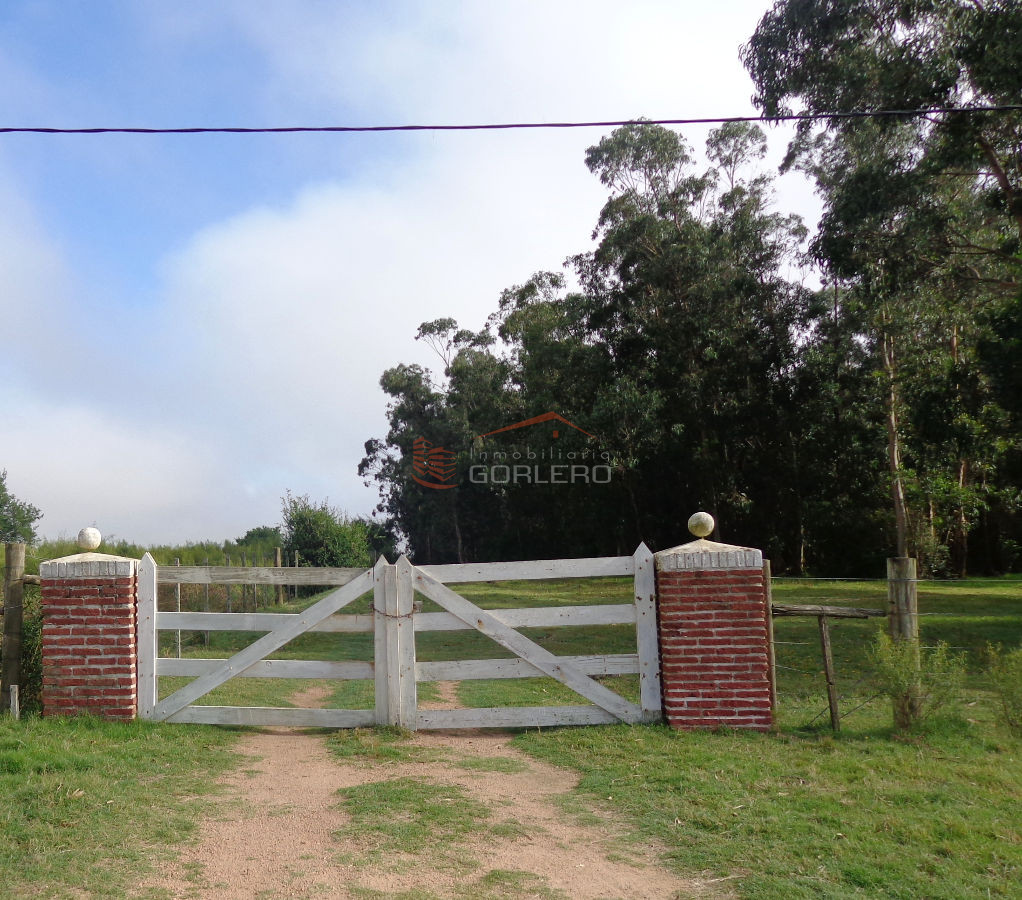 Chacra en  LOS CEIBOS Punta del Este 5 HAS - GoPunta - Portal Inmobiliario de Punta del Este - Maldonado