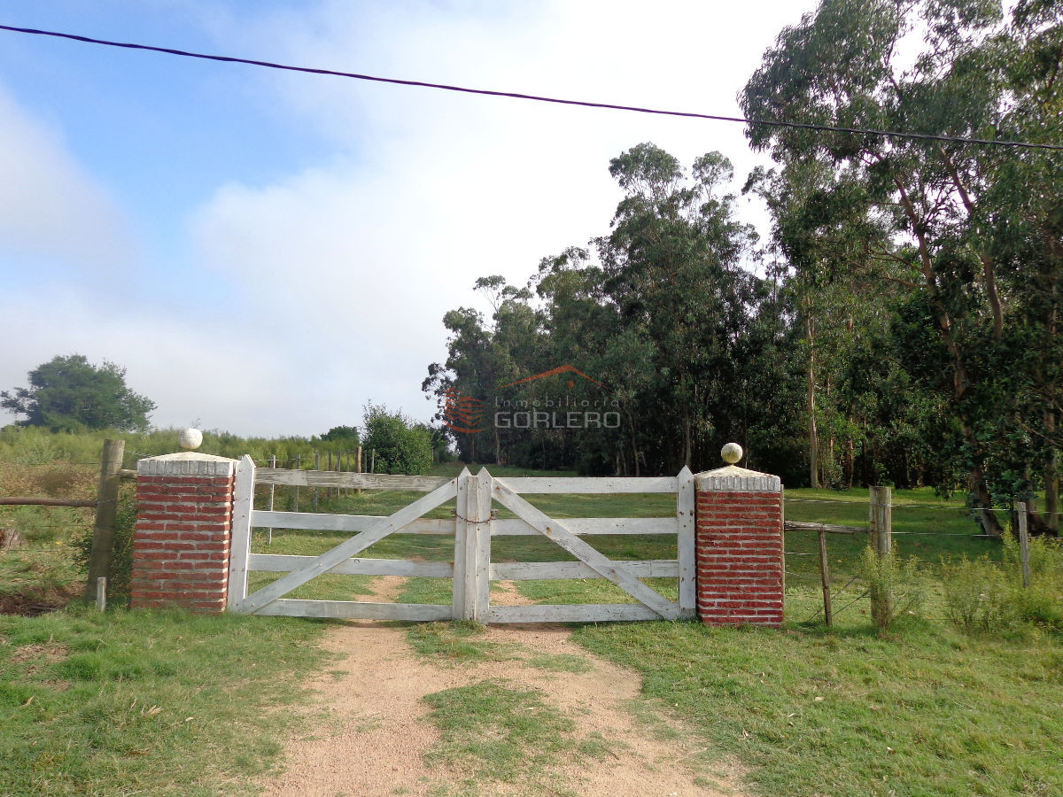 Chacra en  LOS CEIBOS Punta del Este 5 HAS - GoPunta - Portal Inmobiliario de Punta del Este - Maldonado