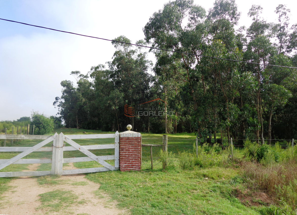 Chacra en  LOS CEIBOS Punta del Este 5 HAS - GoPunta - Portal Inmobiliario de Punta del Este - Maldonado