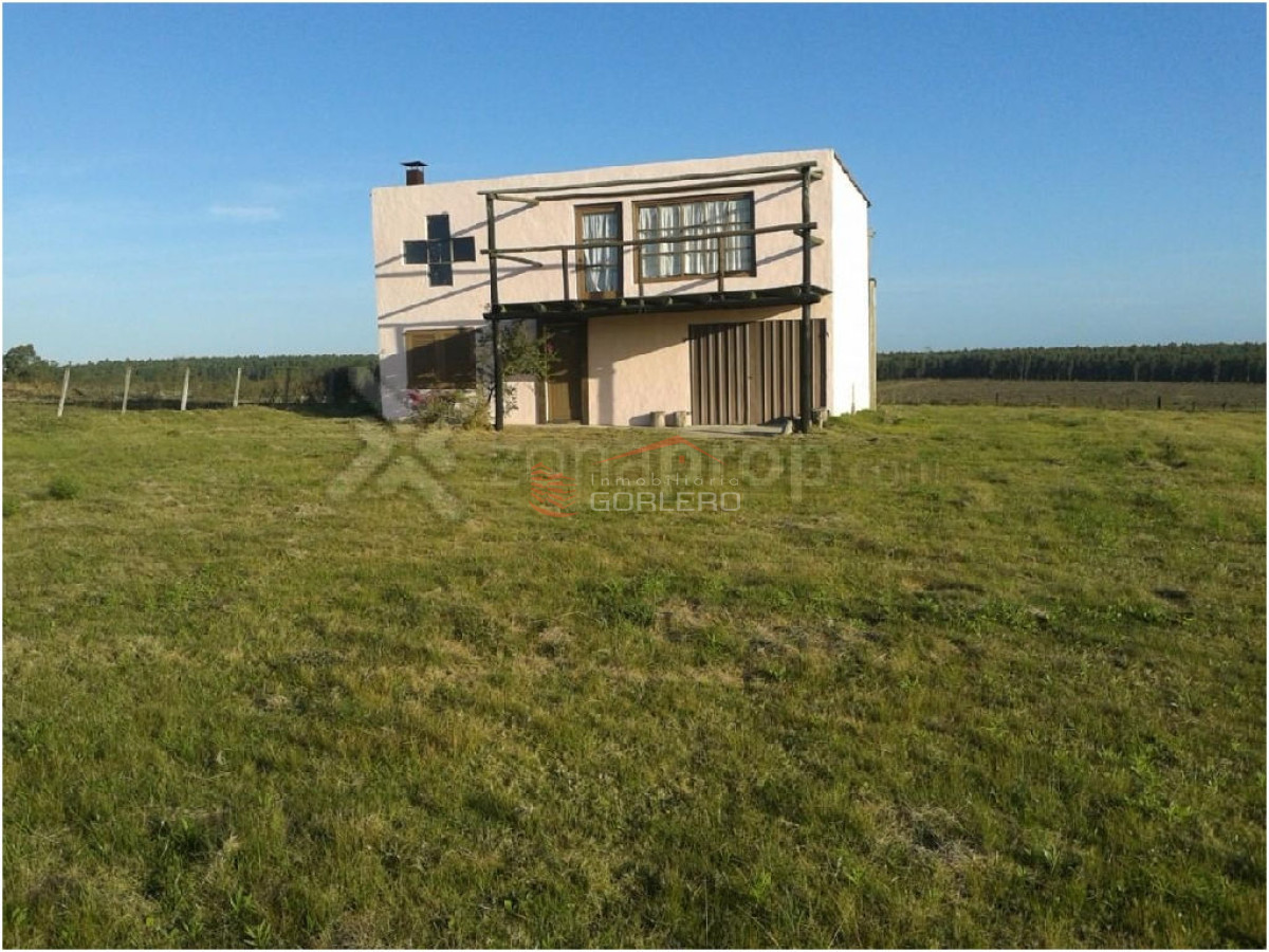 VENTA EN RUTA 12 CHACRA DE 13 HAS - GoPunta - Portal Inmobiliario de Punta del Este - Maldonado