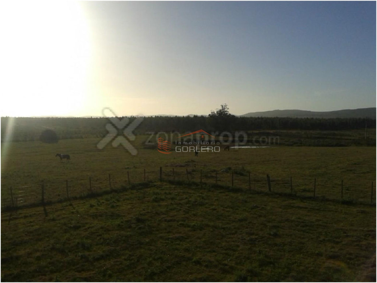 VENTA EN RUTA 12 CHACRA DE 13 HAS - GoPunta - Portal Inmobiliario de Punta del Este - Maldonado