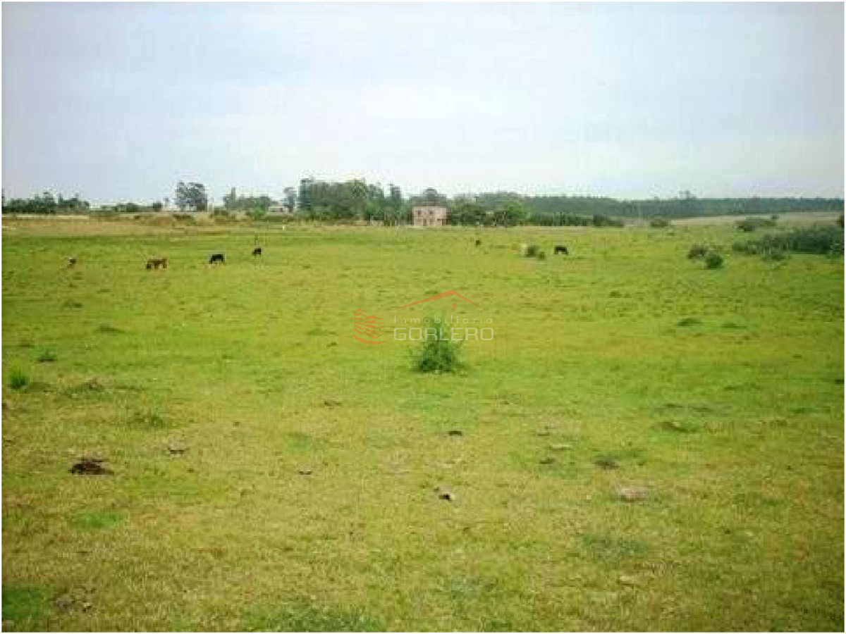 CHACRA EN RUTA 39 - GoPunta - Portal Inmobiliario de Punta del Este - Maldonado