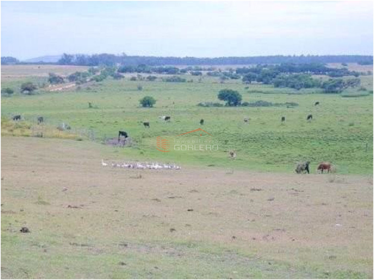 CHACRA EN RUTA 39 - GoPunta - Portal Inmobiliario de Punta del Este - Maldonado