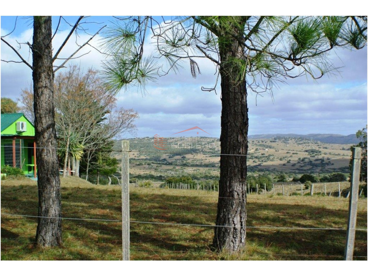 CHACRA EN VENTA RUTA 39 - GoPunta - Portal Inmobiliario de Punta del Este - Maldonado