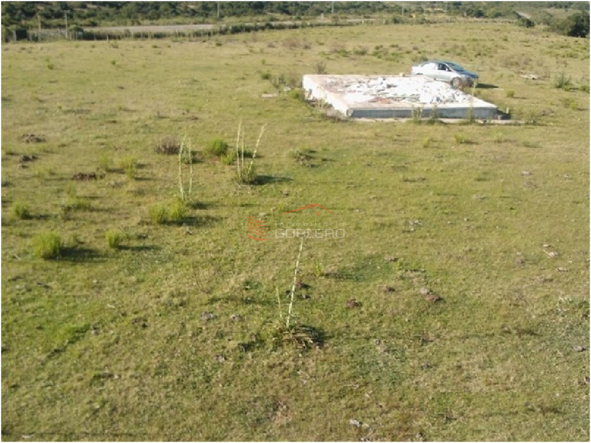 chacra en venta  de 13 has   RUTA 39 - GoPunta - Portal Inmobiliario de Punta del Este - Maldonado