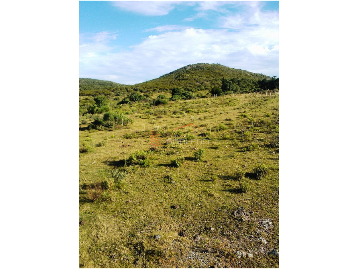 chacra en venta  de 13 has   RUTA 39 - GoPunta - Portal Inmobiliario de Punta del Este - Maldonado